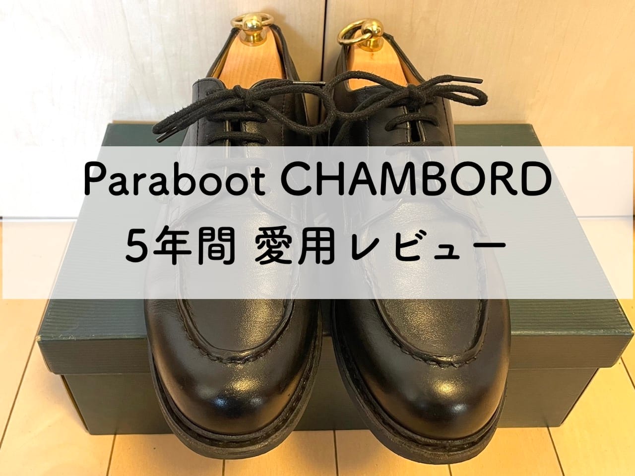 シャンボード5年愛用レビューアイキャッチ画像