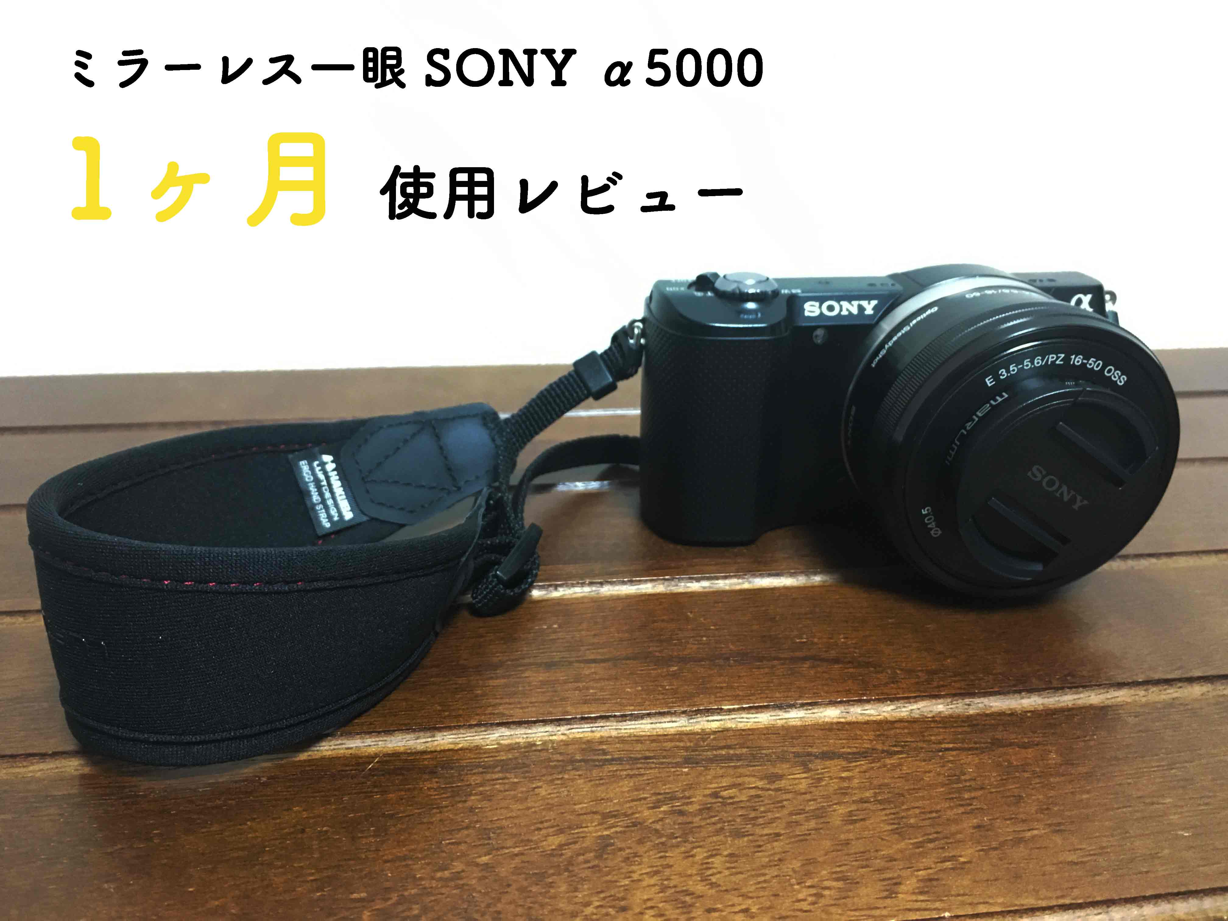 カメラ デジタルカメラ 2022SUMMER/AUTUMN新作 SONY α5000ミラーレスカメラ | pc-elite.com